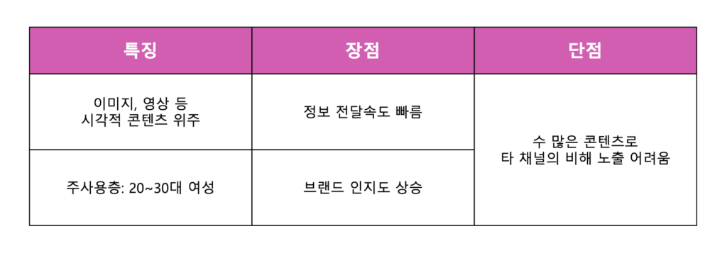 대한민국 주요 SNS 플랫폼 특성과 지역 마케팅 적용 포인트